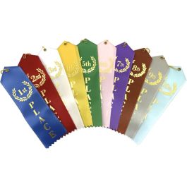 Event Hand Ribbons Event Ribbons with Card & String - Perfect for Awards and Celebrations